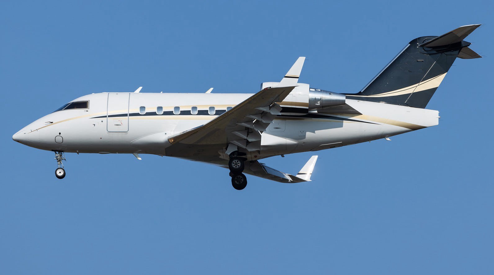  HEAVY JETS executive Hoverfly JET luxury 