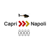 Volo privato in elicottero VIP | Capri - Napoli | Fino a 4 passeggeri